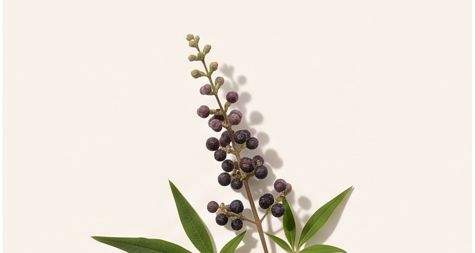 Chasteberry (Vitex)